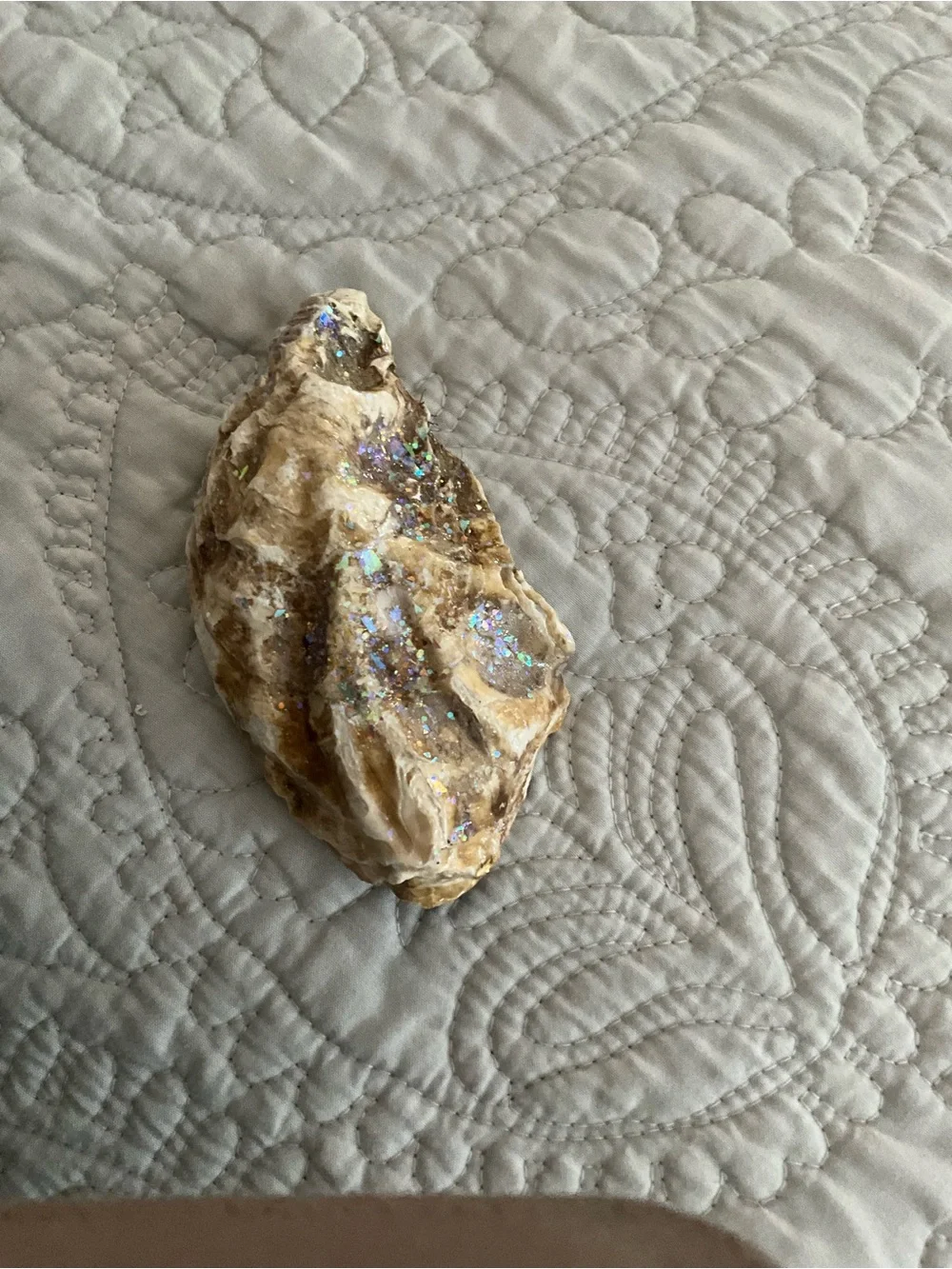 Handmade Oyster Shell Trinket Dish 5 inches